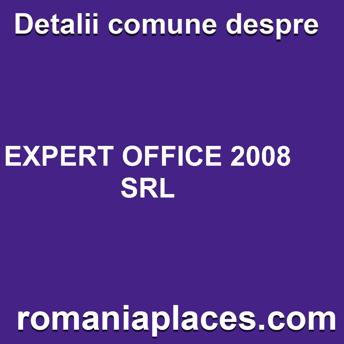 EXPERT OFFICE 2008 SRL