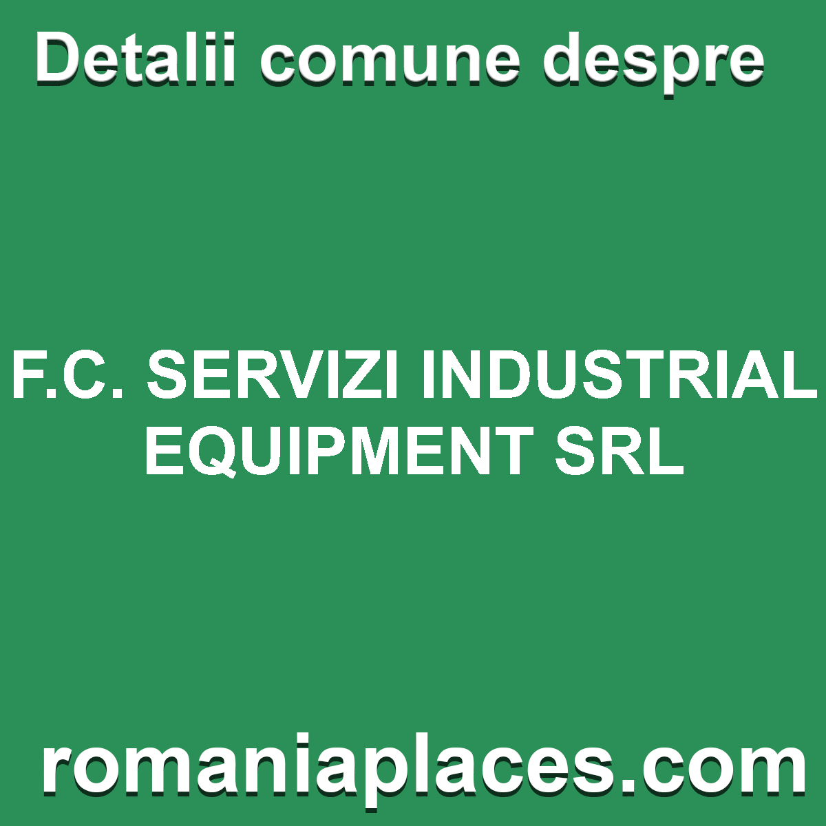 F.C. SERVIZI INDUSTRIAL EQUIPMENT SRL