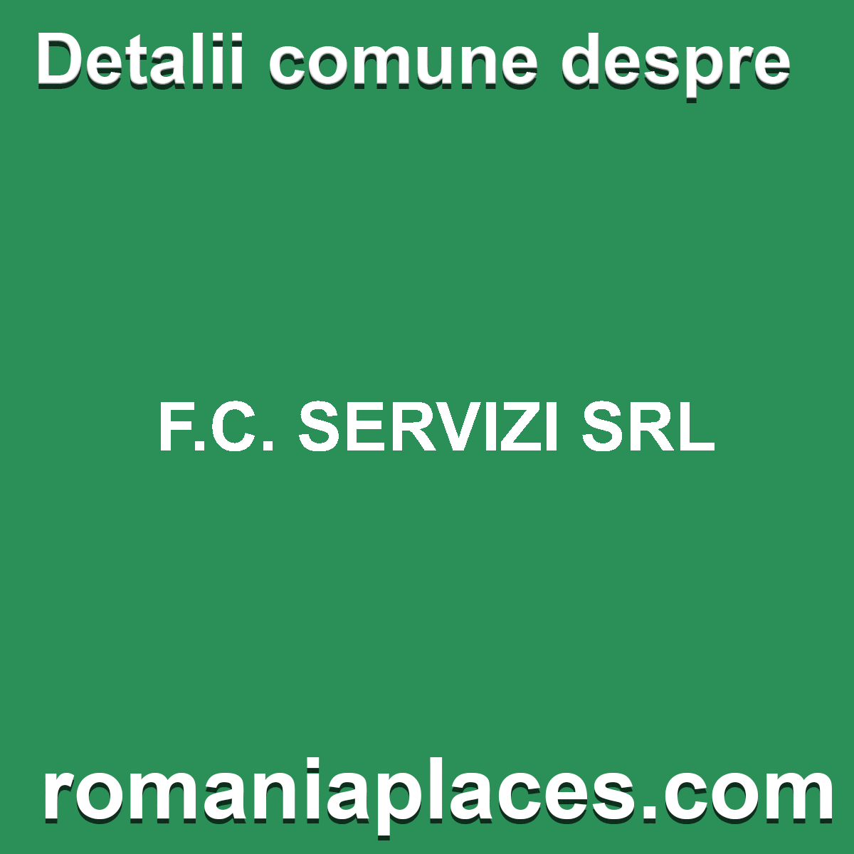F.C. SERVIZI SRL