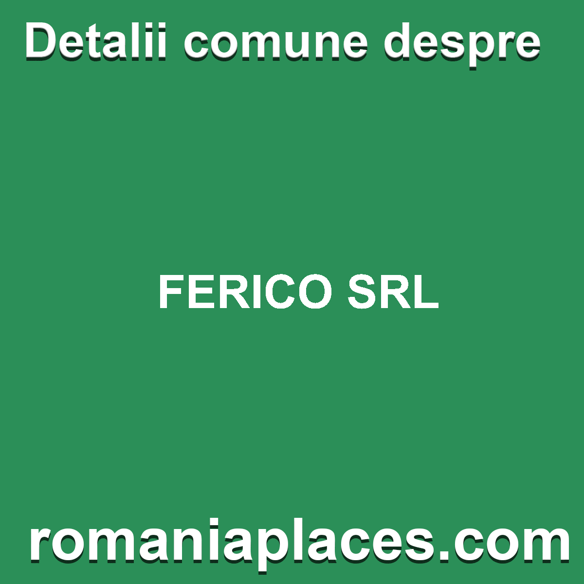 FERICO SRL