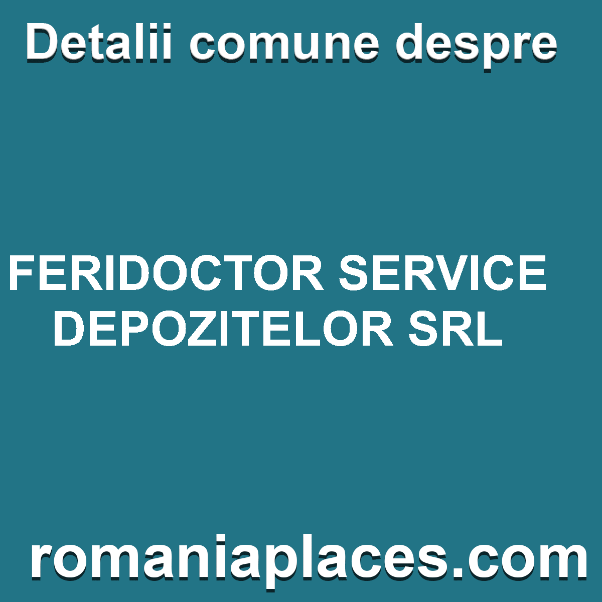 FERIDOCTOR SERVICE DEPOZITELOR SRL