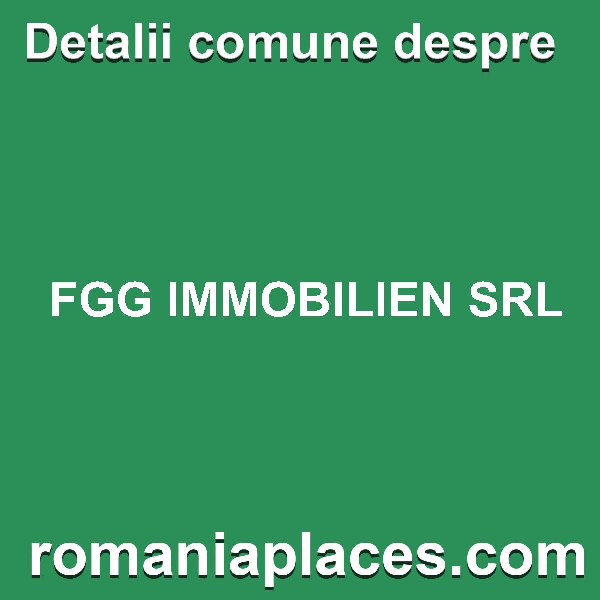 FGG IMMOBILIEN SRL