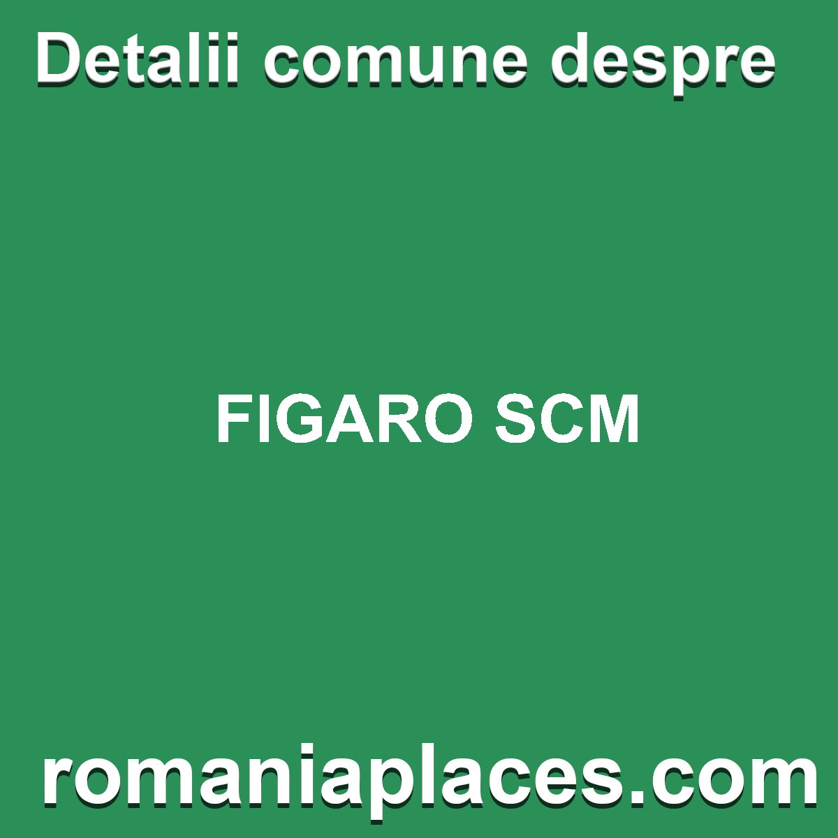 FIGARO SCM