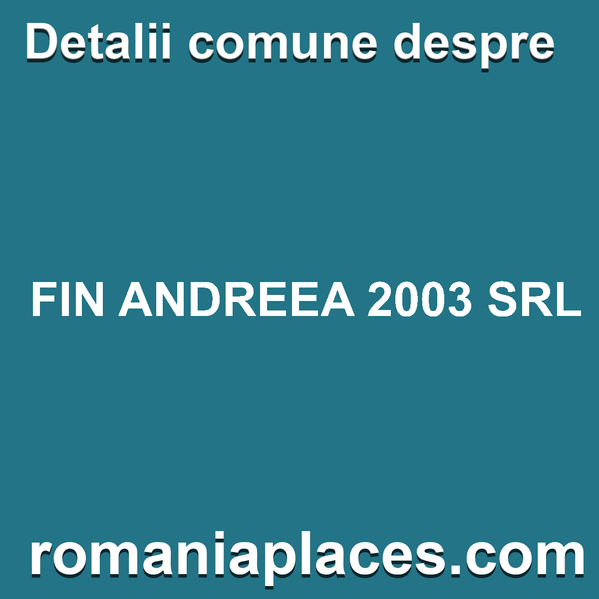 FIN ANDREEA 2003 SRL