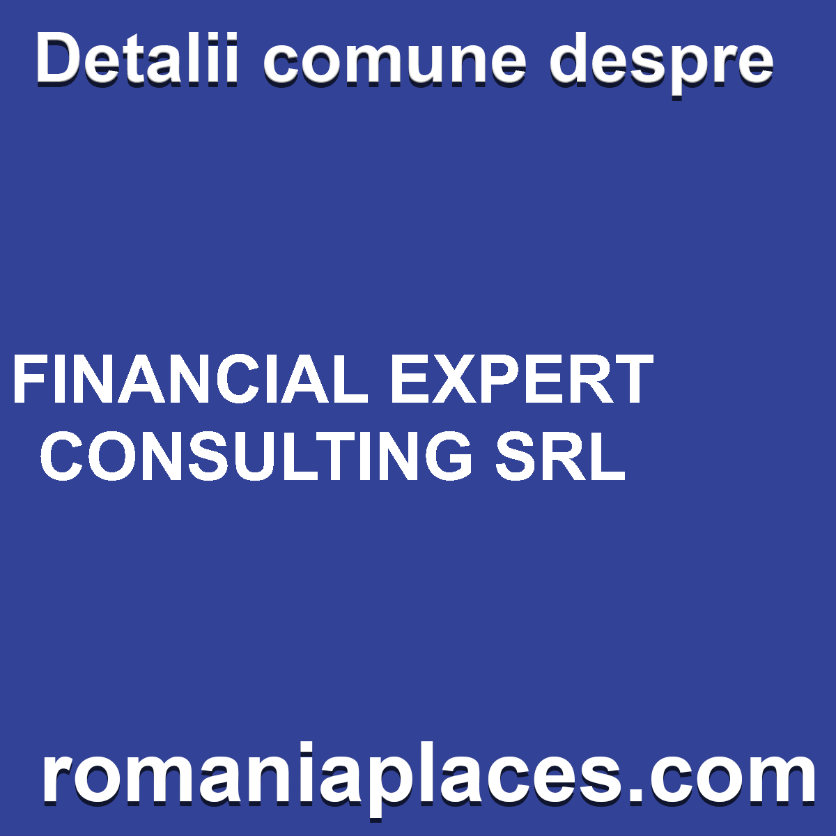 FINANCIAL EXPERT CONSULTING SRL