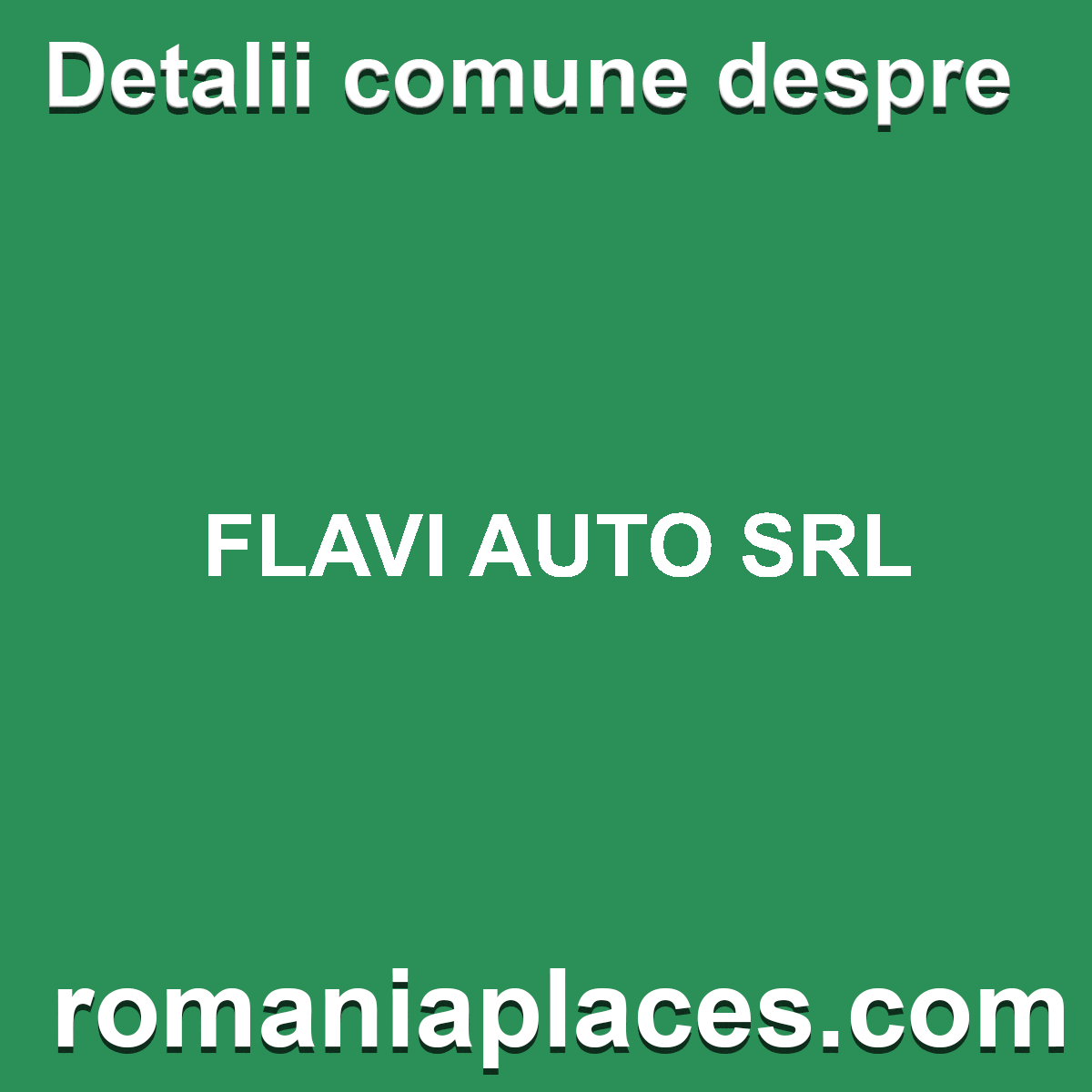 FLAVI AUTO SRL