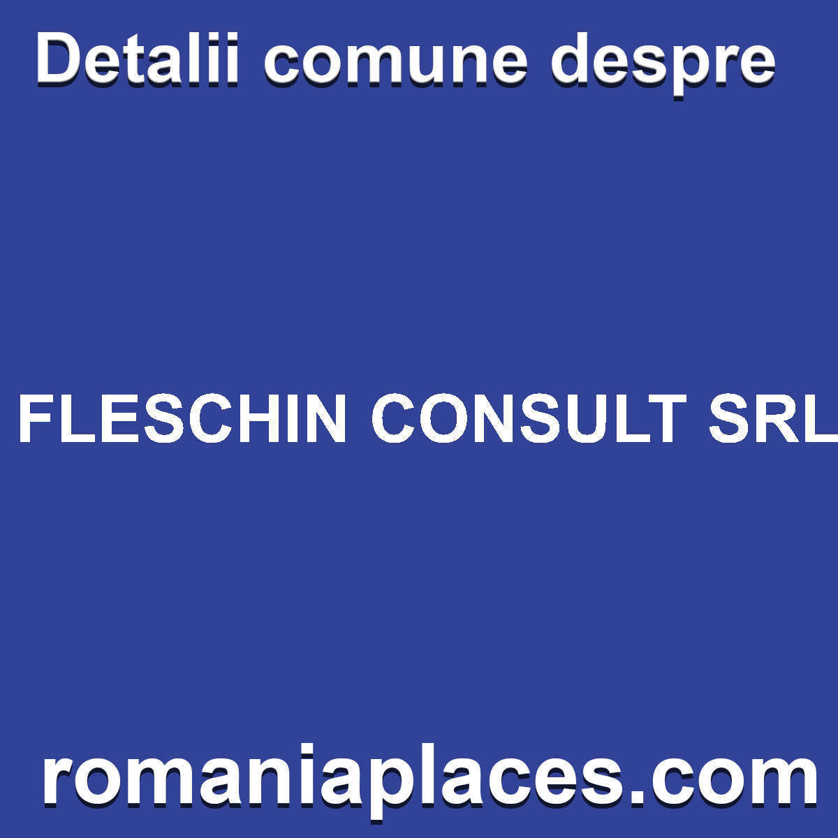 FLESCHIN CONSULT SRL