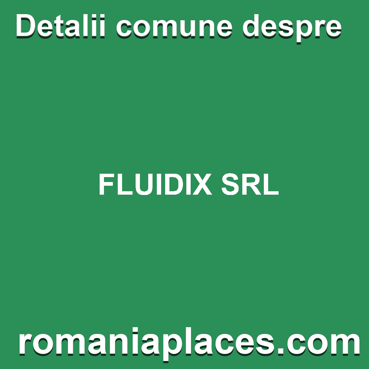FLUIDIX SRL