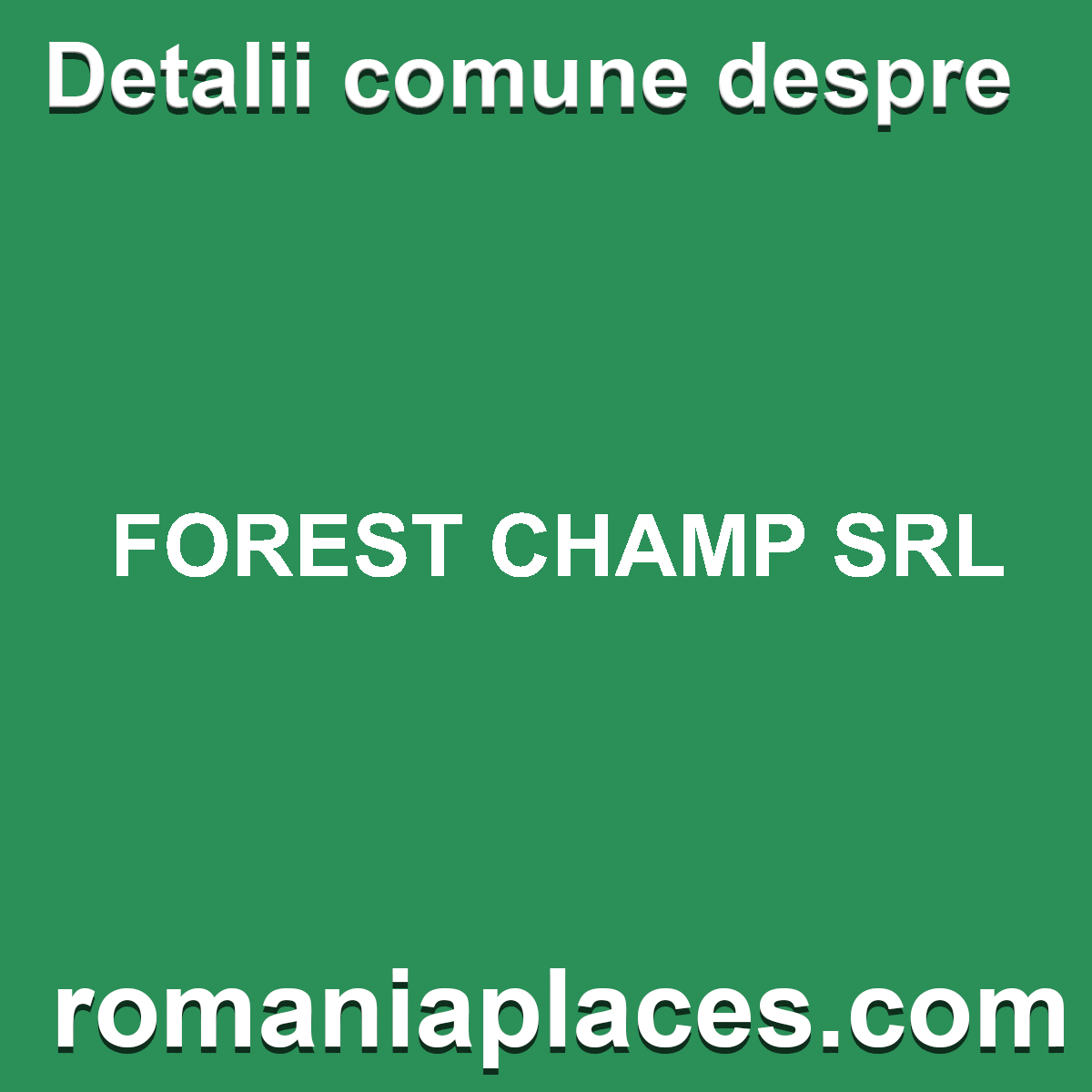 FOREST CHAMP SRL