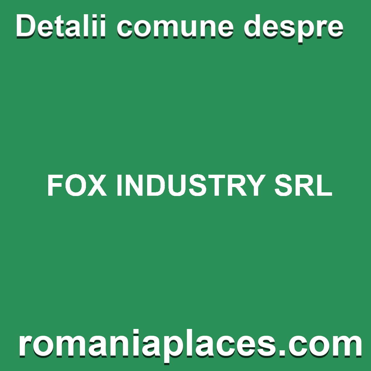 FOX INDUSTRY SRL