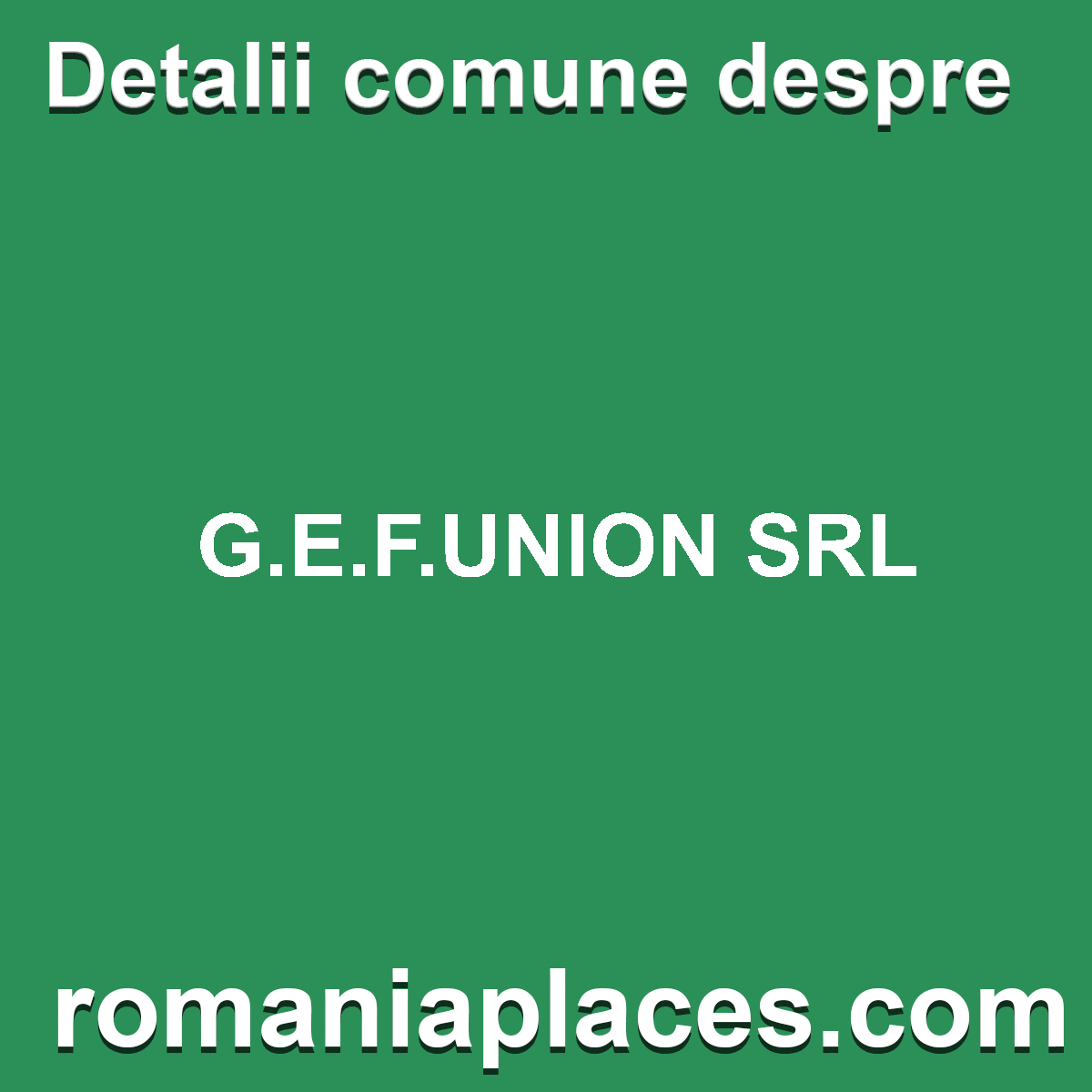 G.E.F.UNION SRL