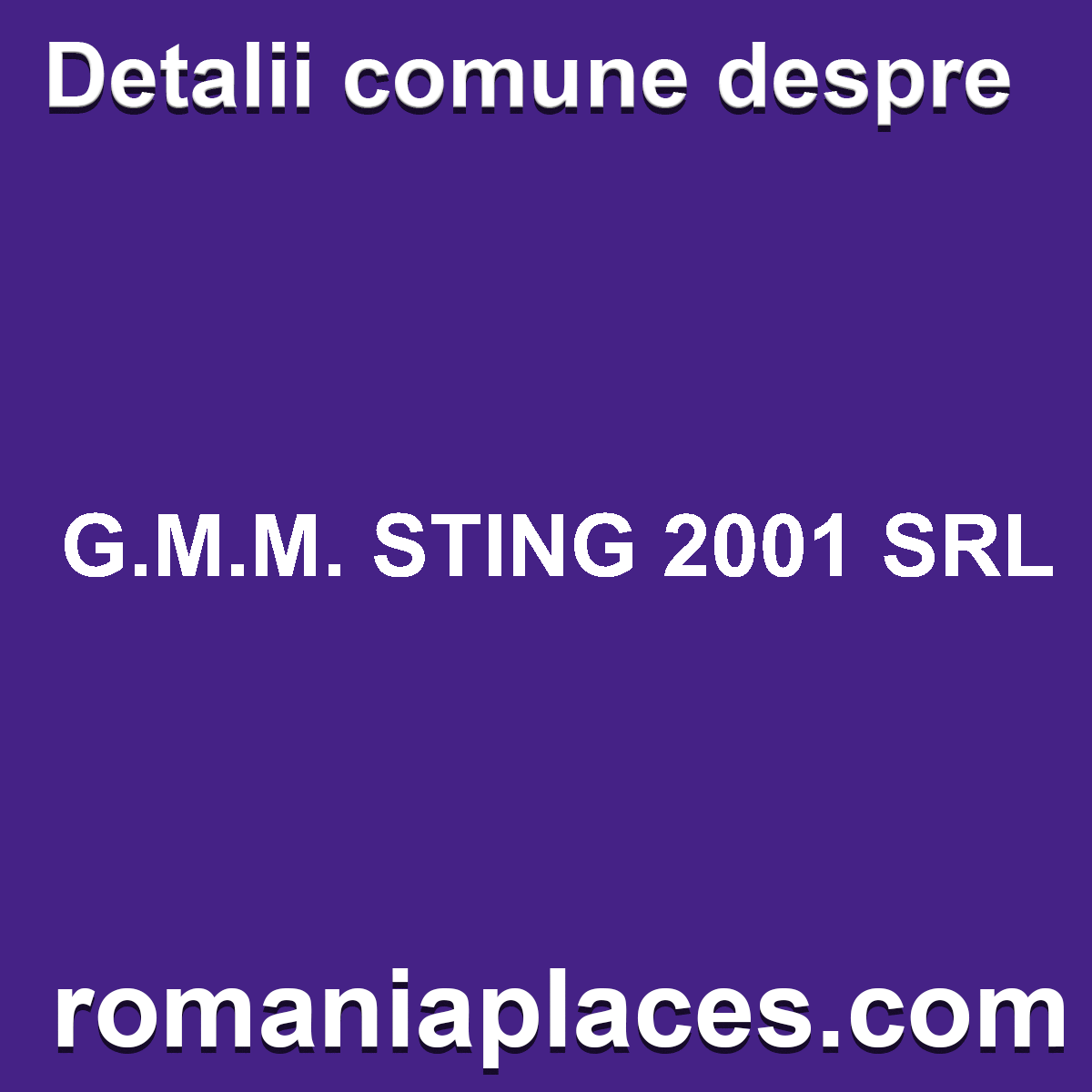 G.M.M. STING 2001 SRL