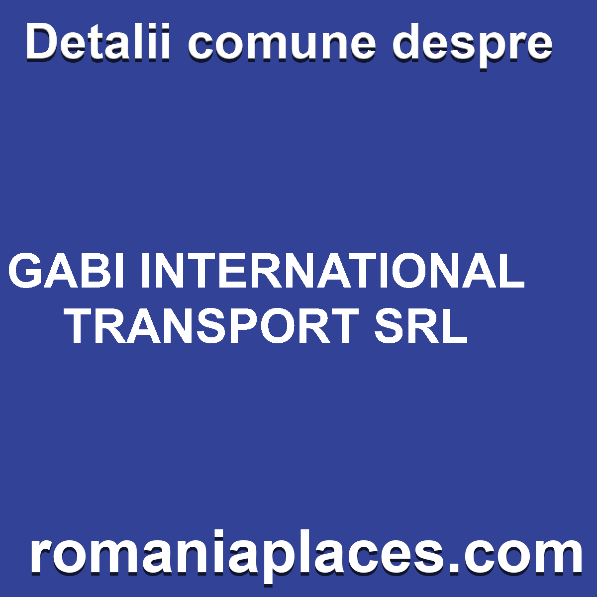 GABI INTERNATIONAL TRANSPORT SRL
