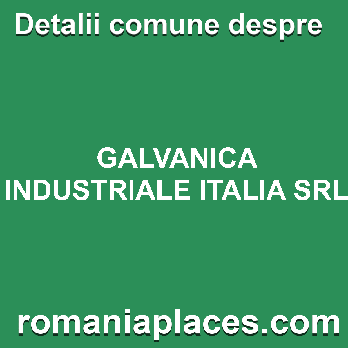 GALVANICA INDUSTRIALE ITALIA SRL