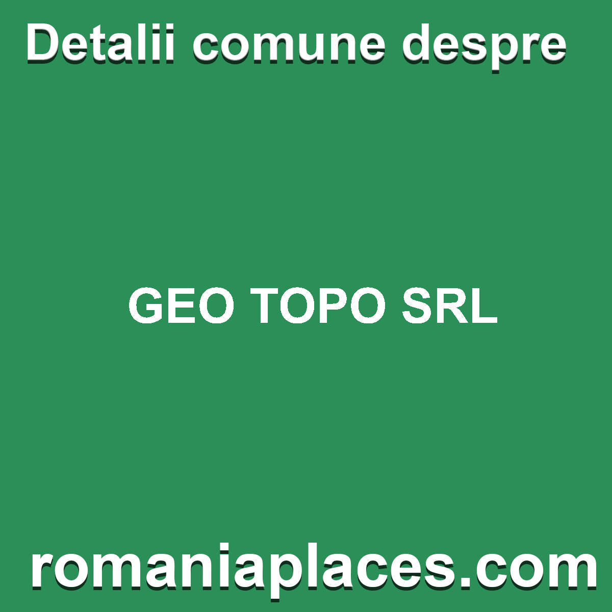 GEO TOPO SRL