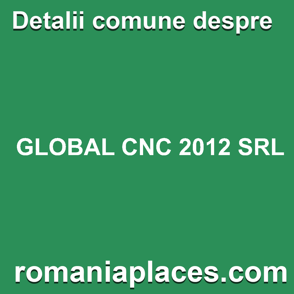 GLOBAL CNC 2012 SRL