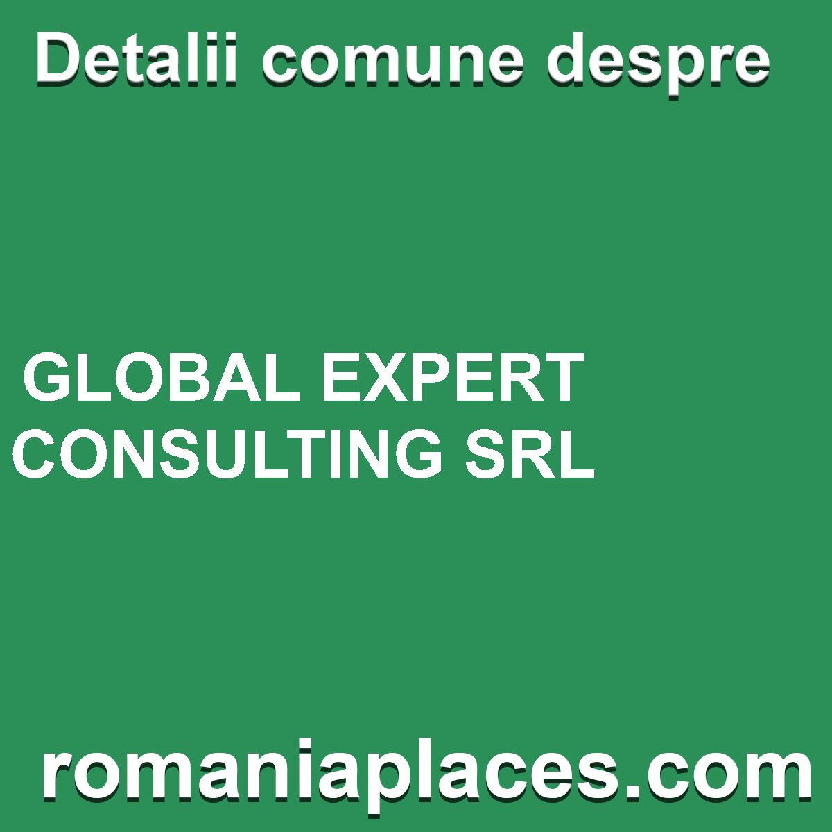GLOBAL EXPERT CONSULTING SRL