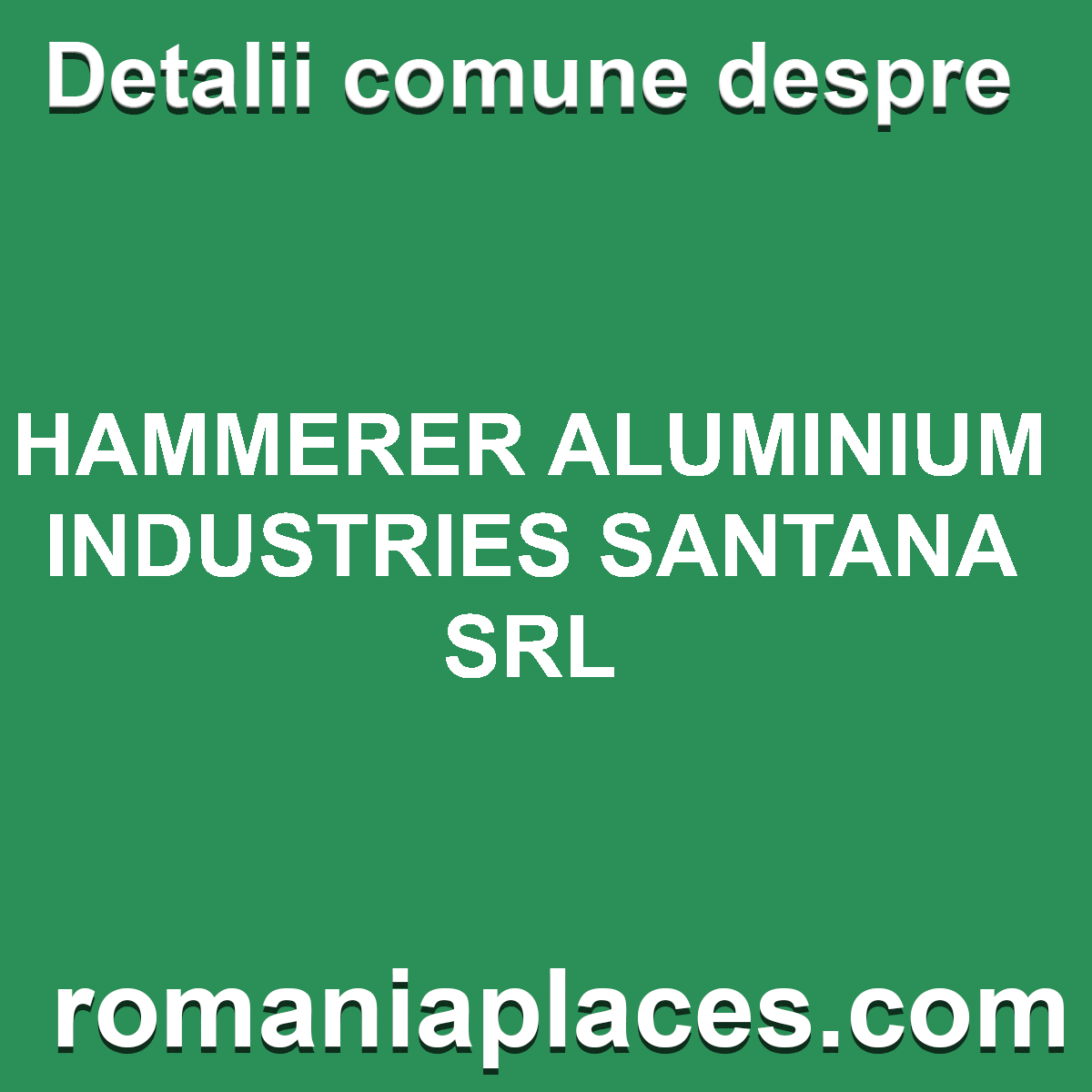 HAMMERER ALUMINIUM INDUSTRIES SANTANA SRL