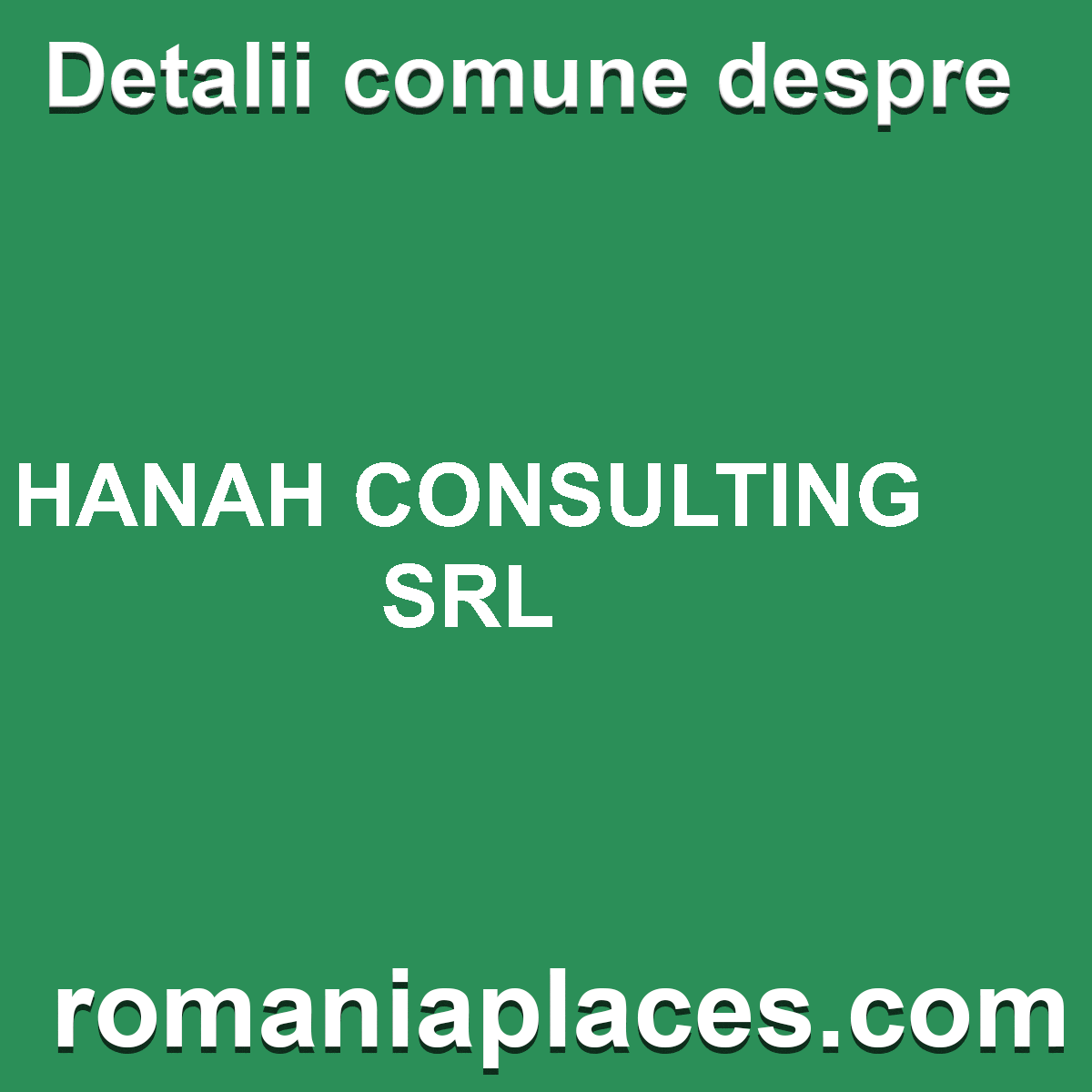 HANAH CONSULTING SRL