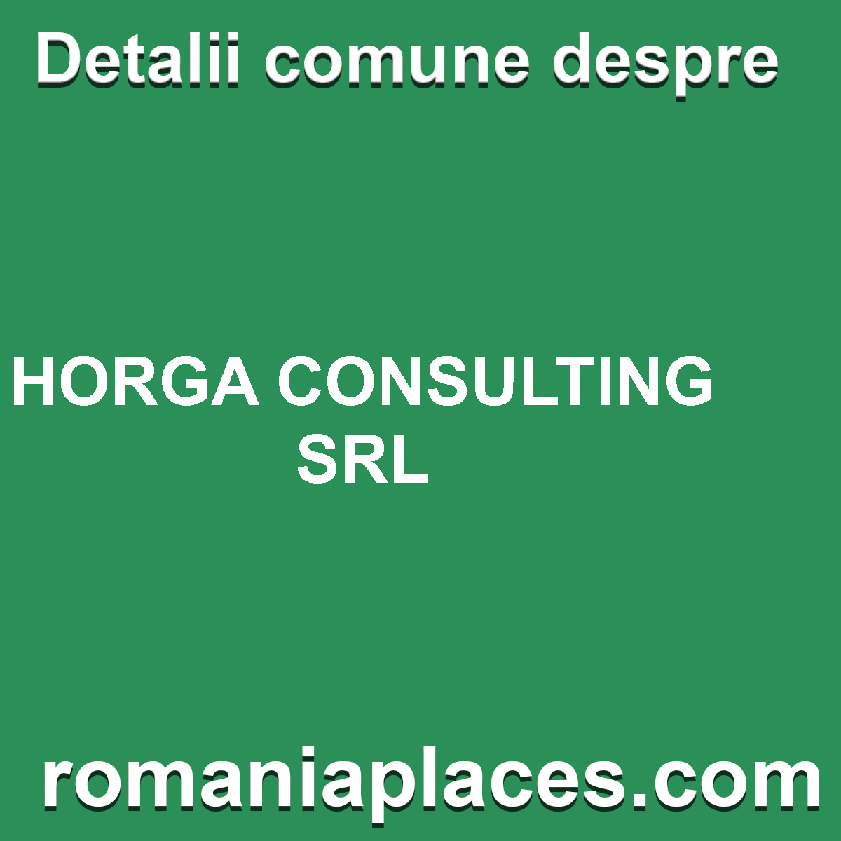 HORGA CONSULTING SRL