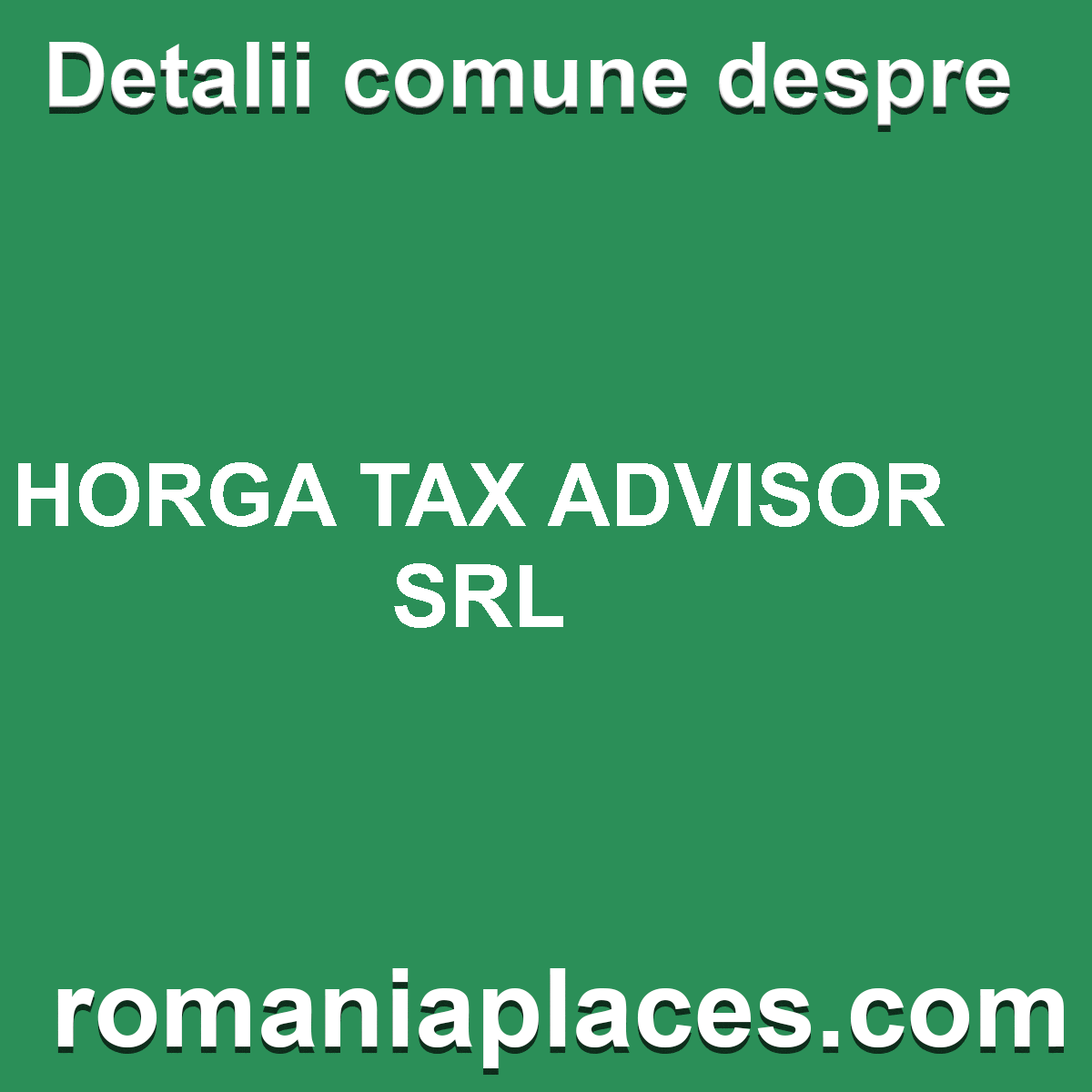 HORGA TAX ADVISOR SRL