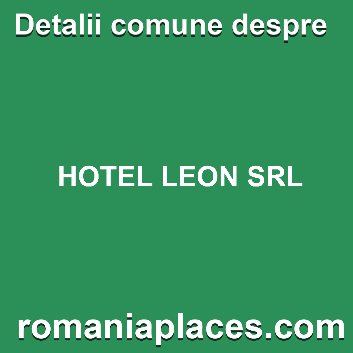 HOTEL LEON SRL
