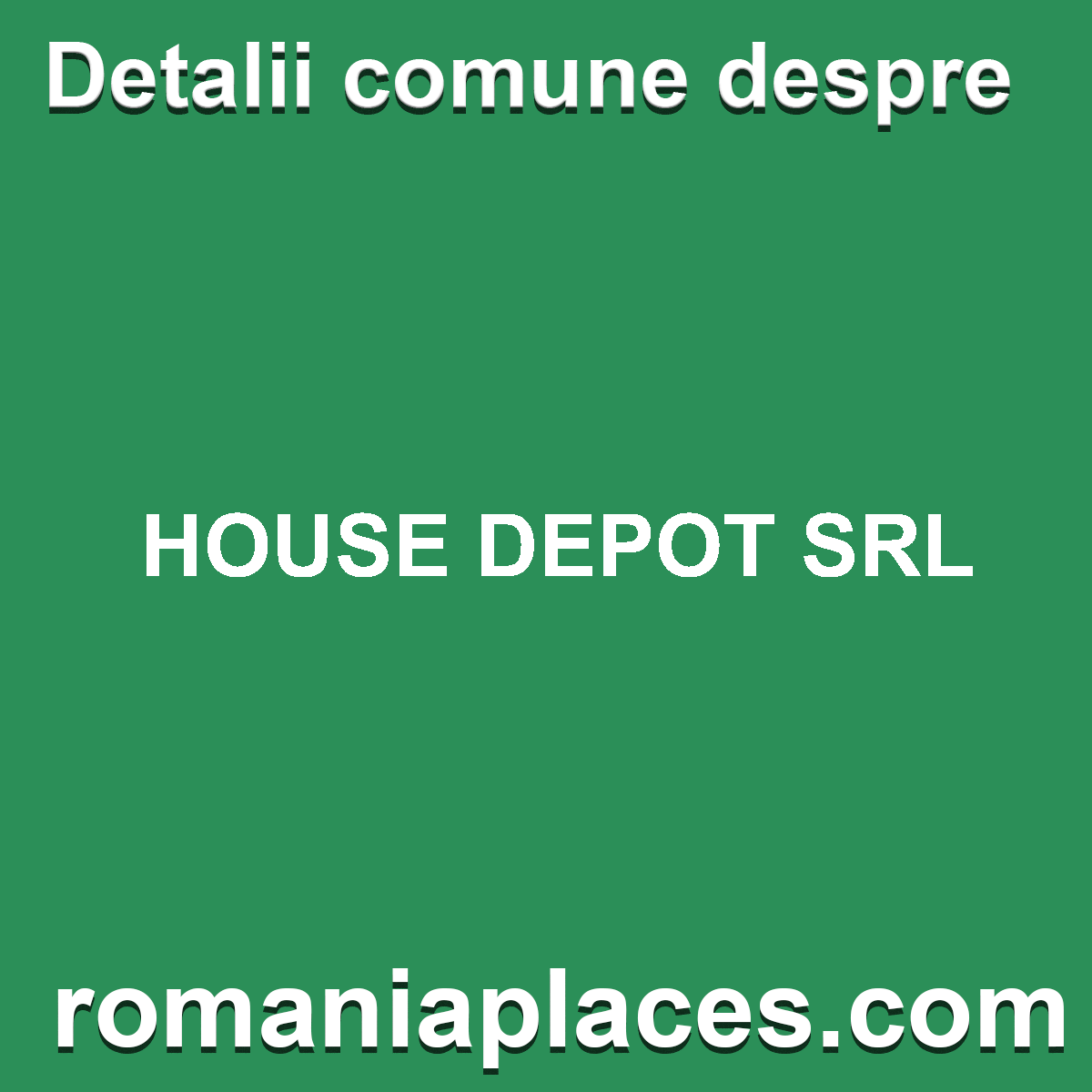 HOUSE DEPOT SRL