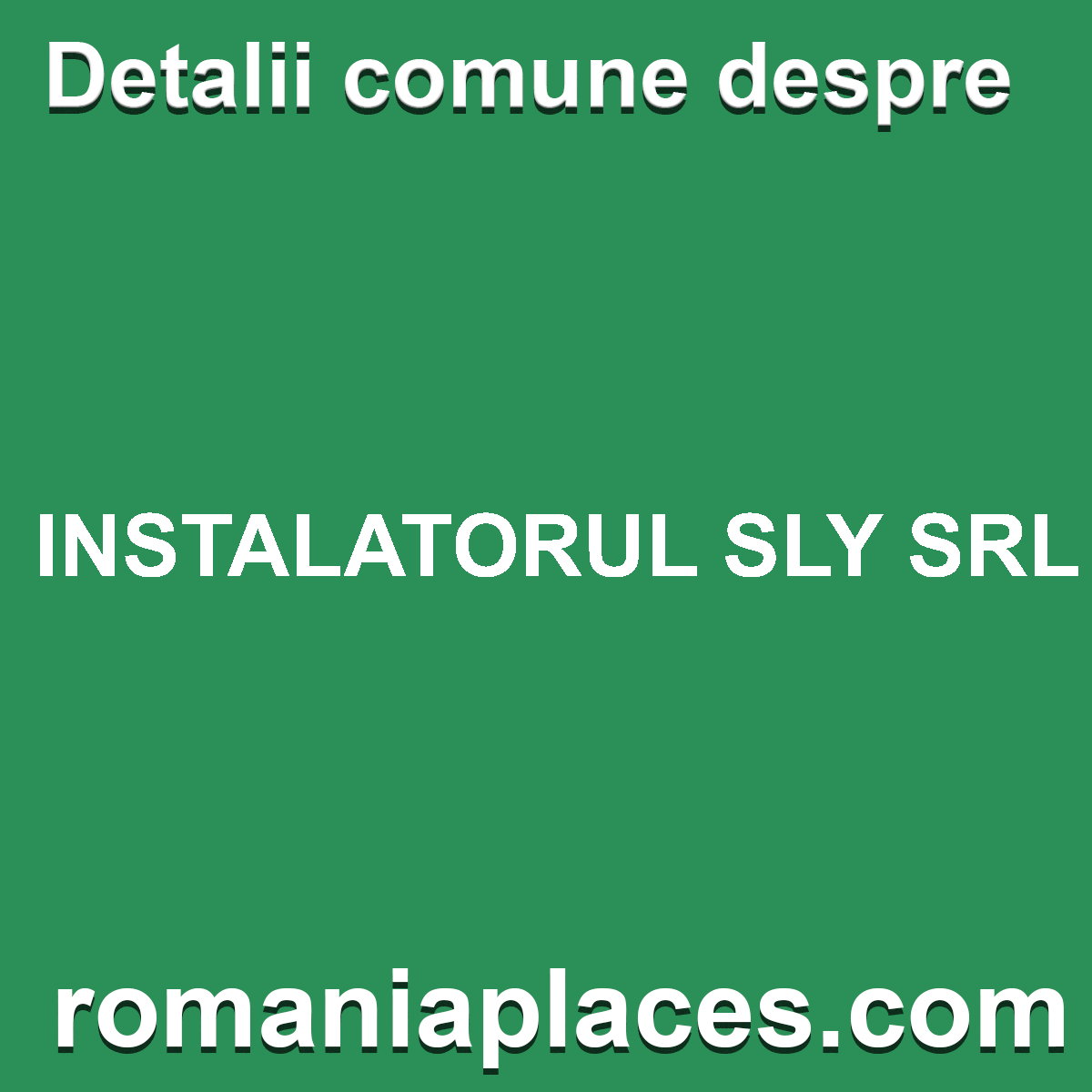 INSTALATORUL SLY SRL