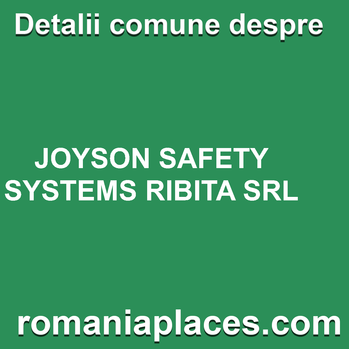JOYSON SAFETY SYSTEMS RIBITA SRL