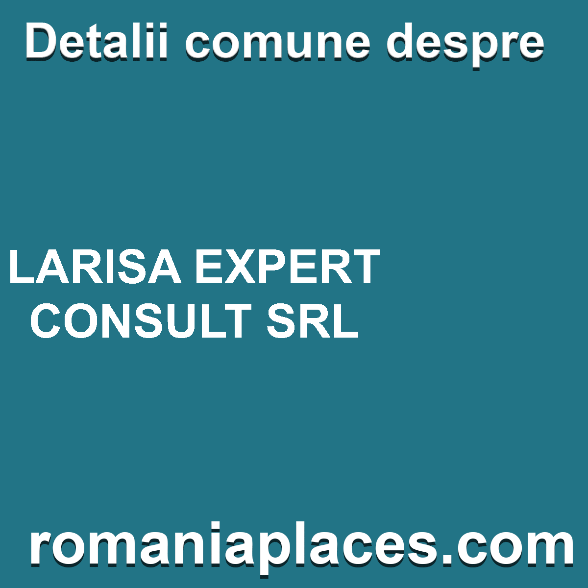 LARISA EXPERT CONSULT SRL