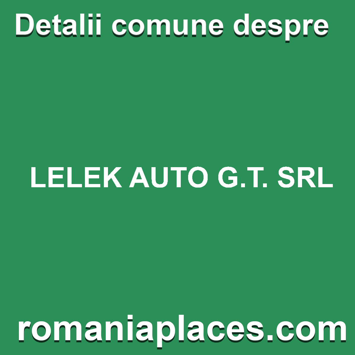 LELEK AUTO G.T. SRL