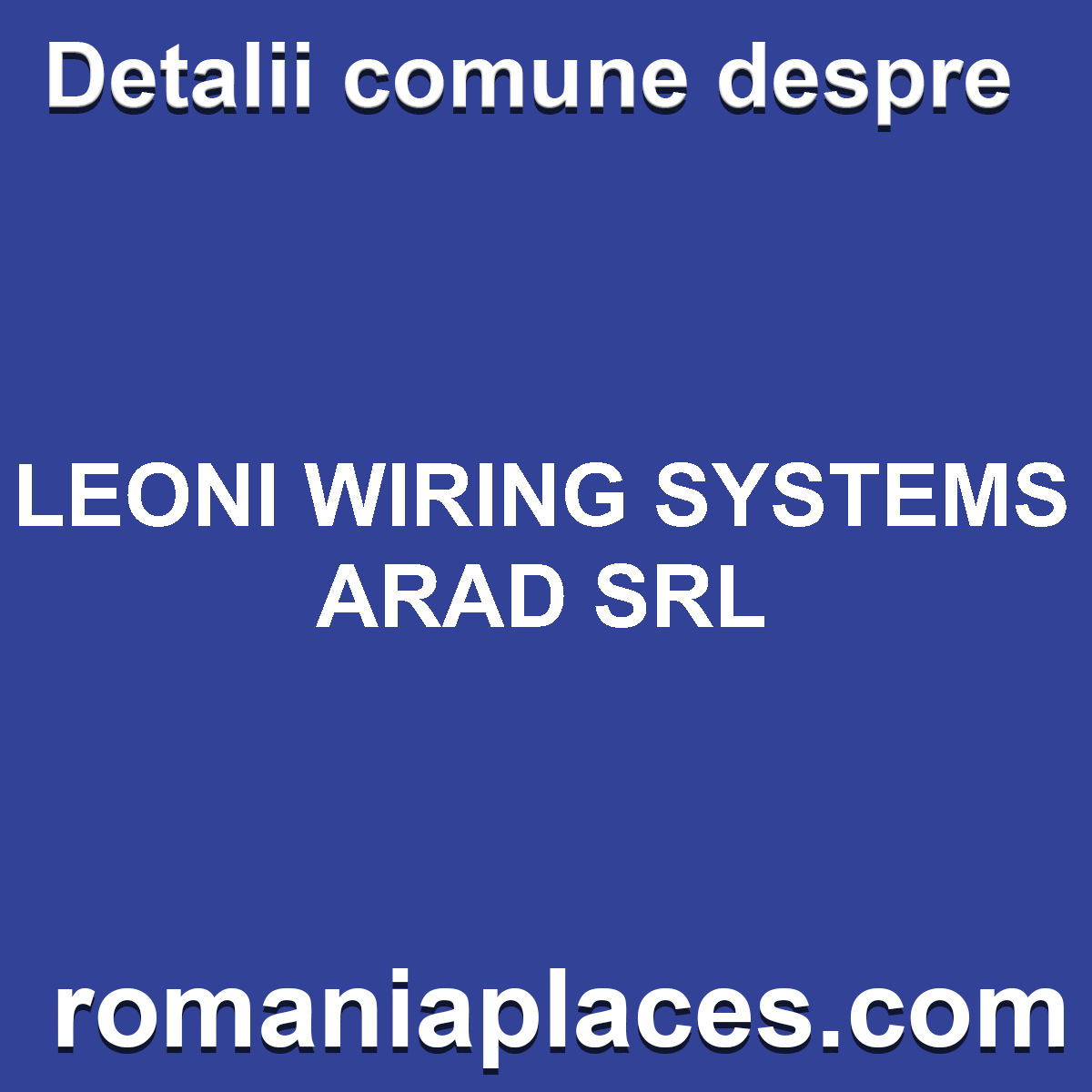 LEONI WIRING SYSTEMS ARAD SRL