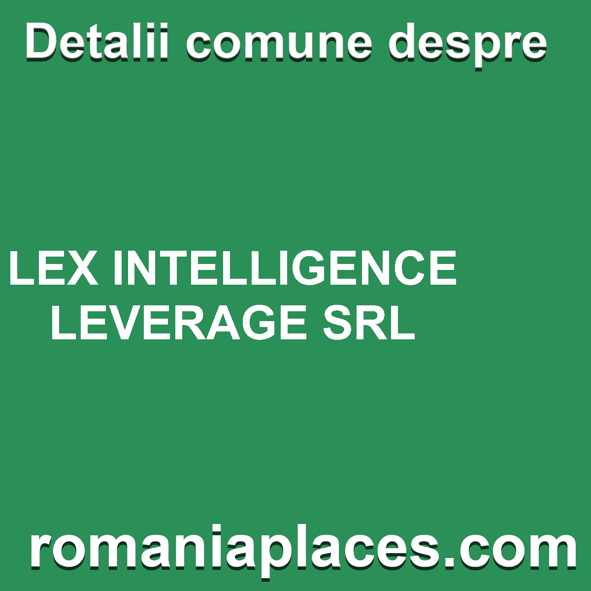 LEX INTELLIGENCE LEVERAGE SRL