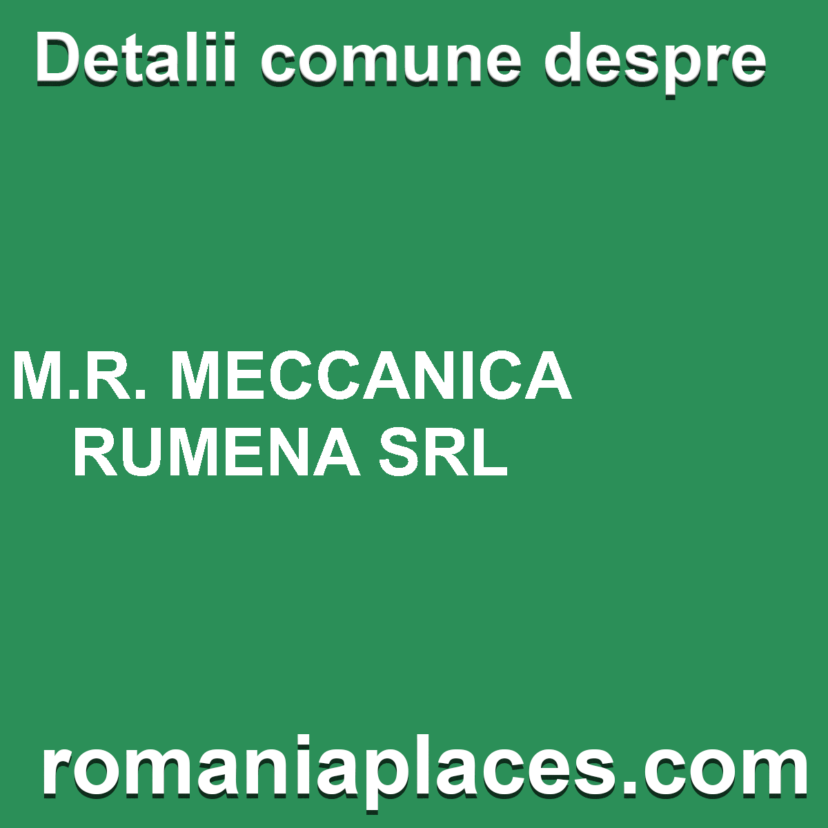 M.R. MECCANICA RUMENA SRL