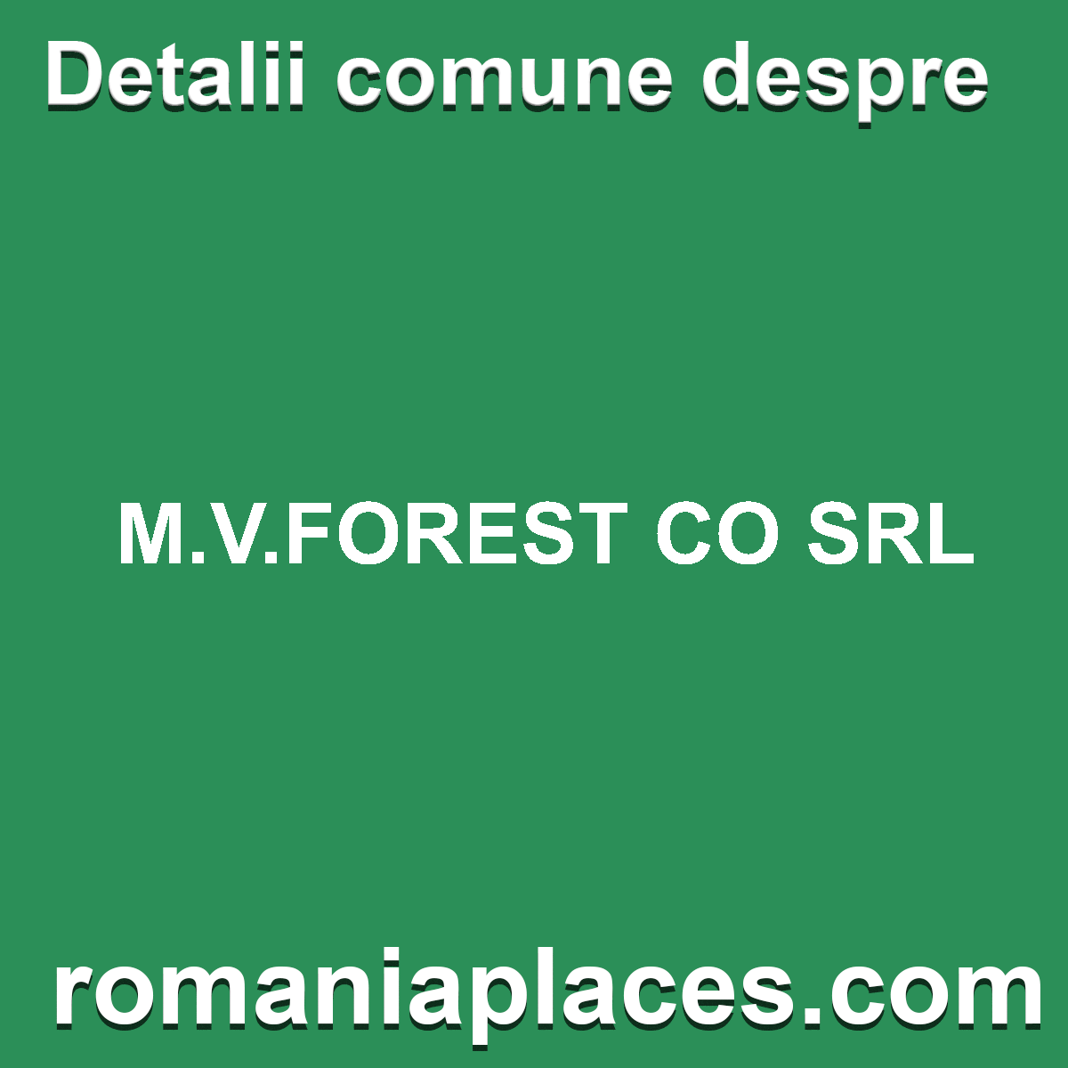 M.V.FOREST CO SRL