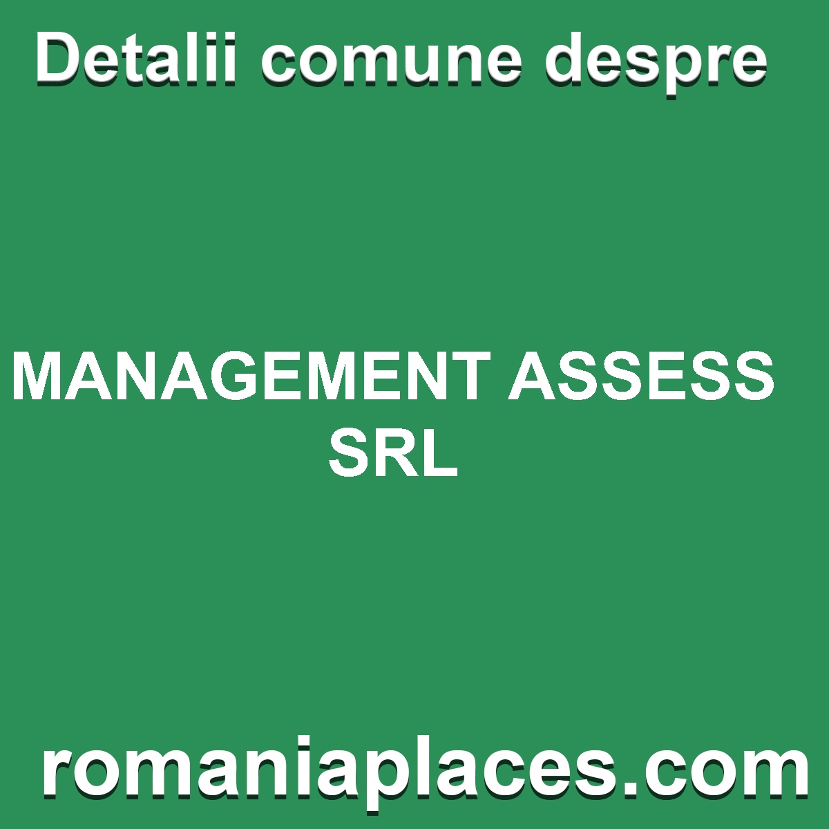 MANAGEMENT ASSESS SRL