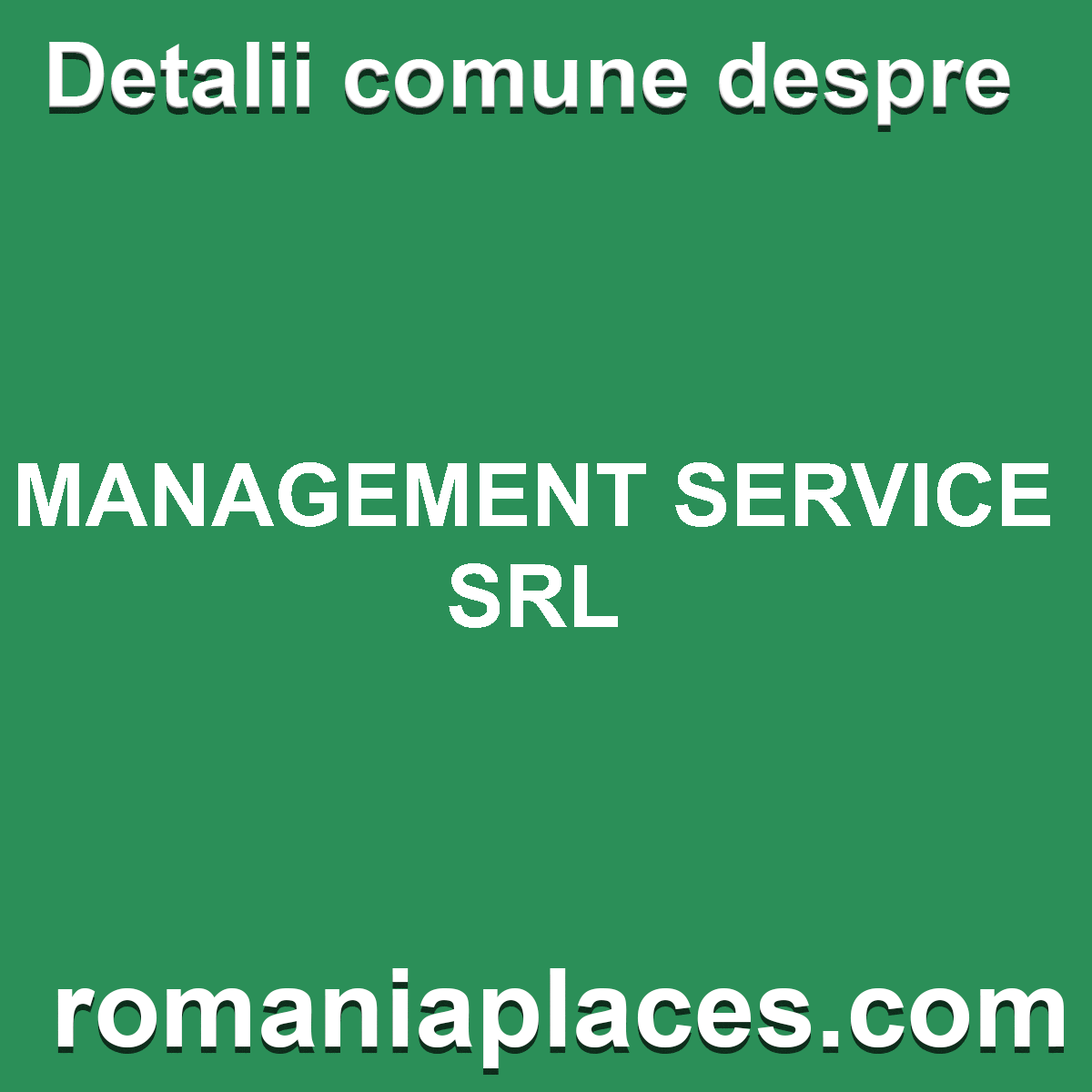 MANAGEMENT SERVICE SRL