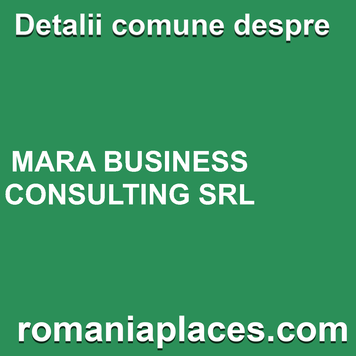 MARA BUSINESS CONSULTING SRL