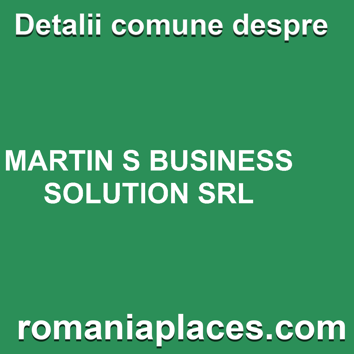 MARTIN S BUSINESS SOLUTION SRL