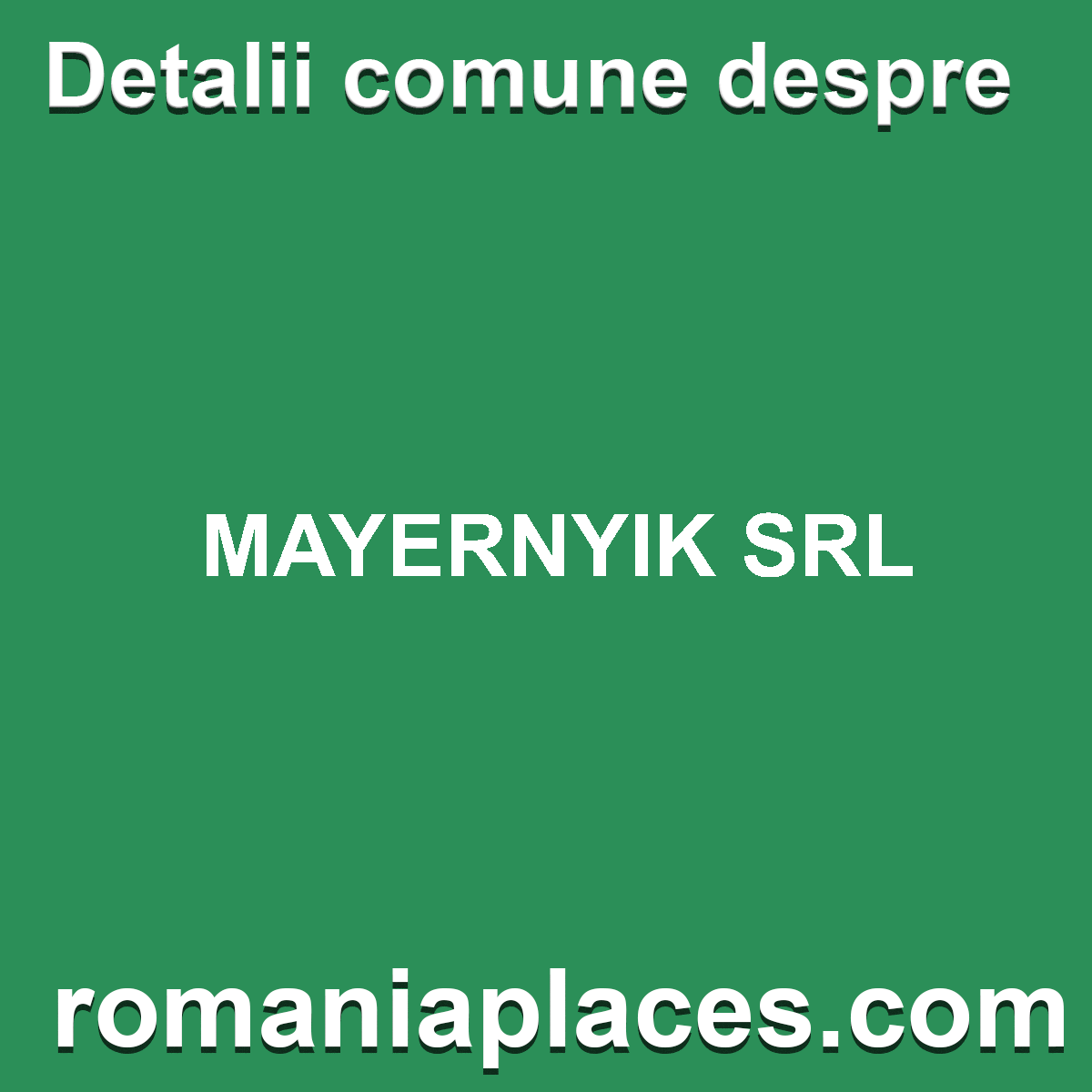 MAYERNYIK SRL