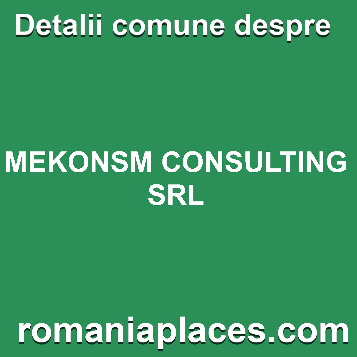 MEKONSM CONSULTING SRL