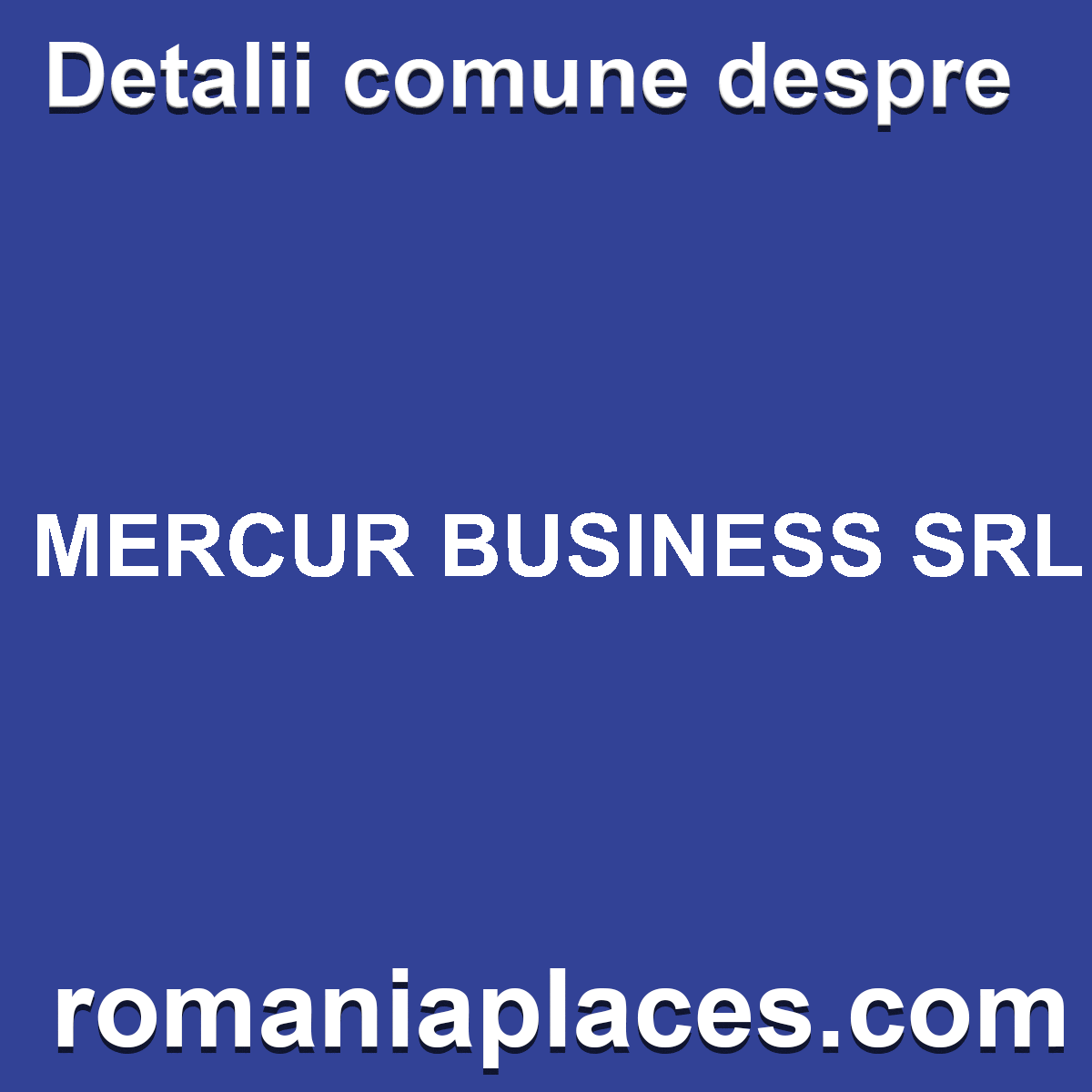 MERCUR BUSINESS SRL