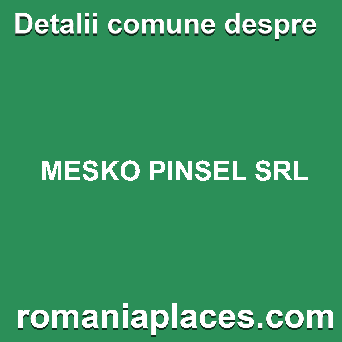 MESKO PINSEL SRL