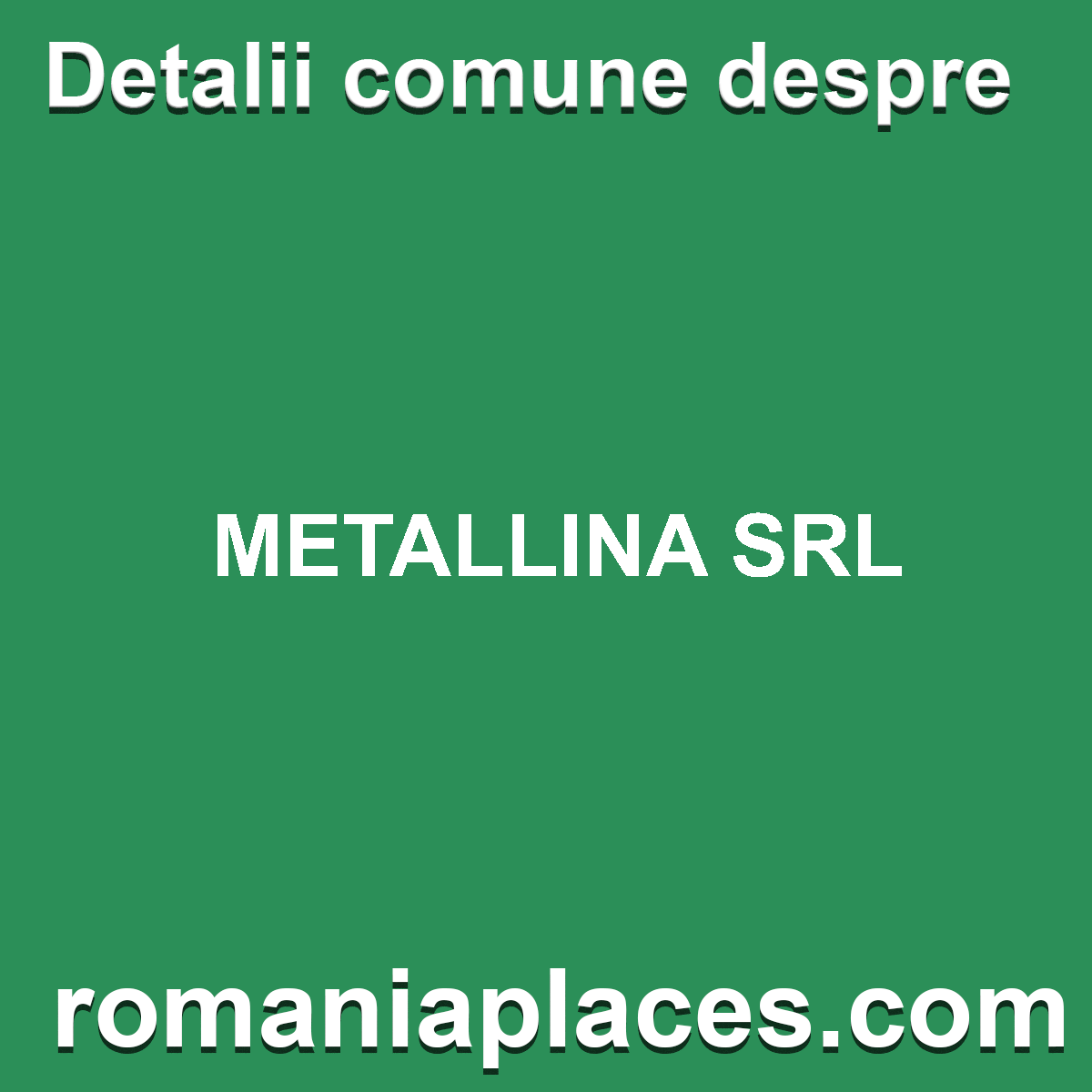METALLINA SRL