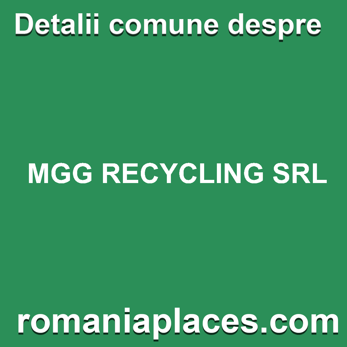 MGG RECYCLING SRL