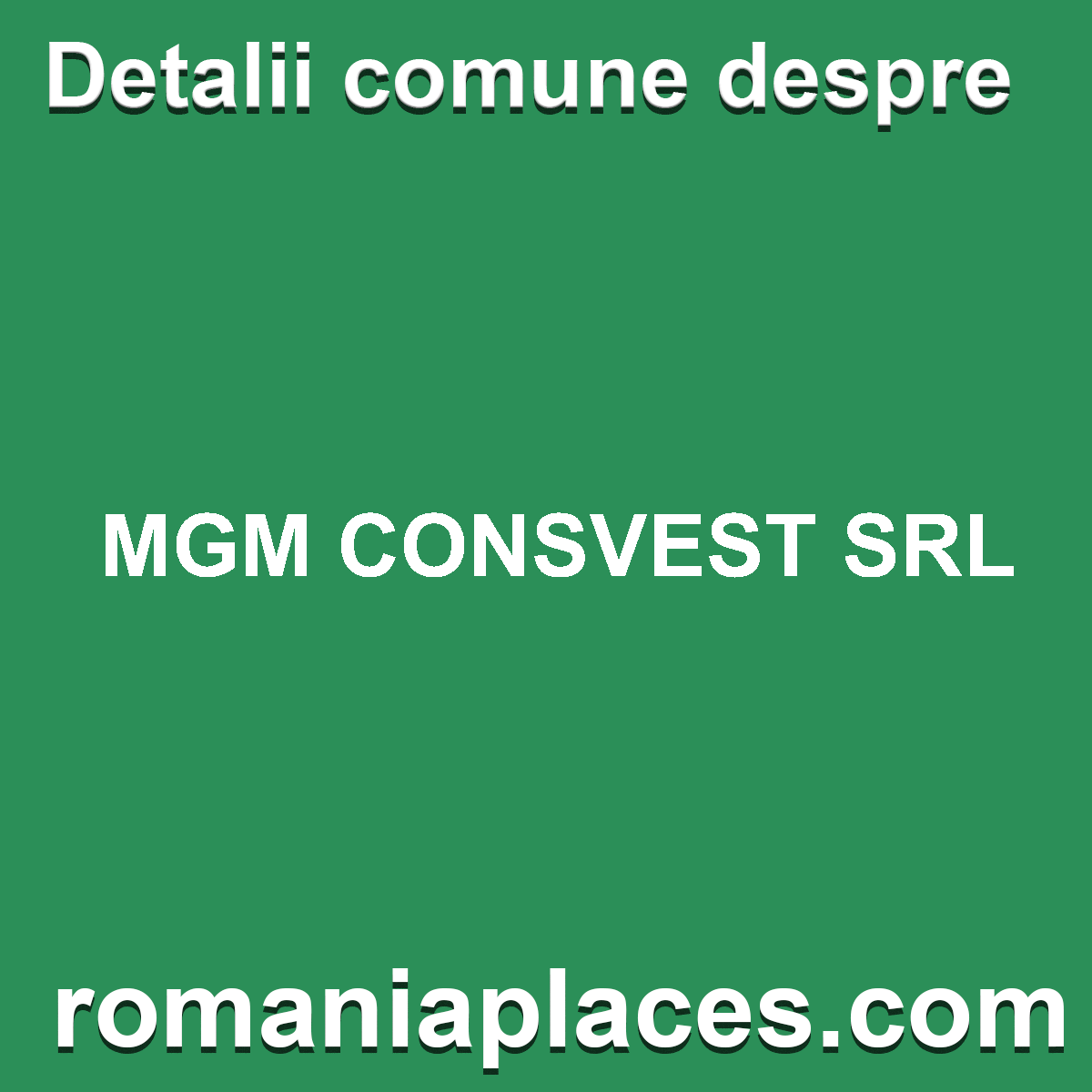 MGM CONSVEST SRL