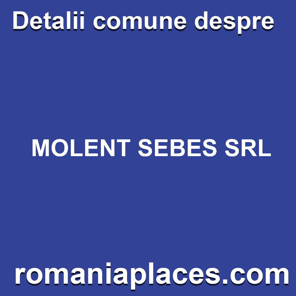 MOLENT SEBES SRL