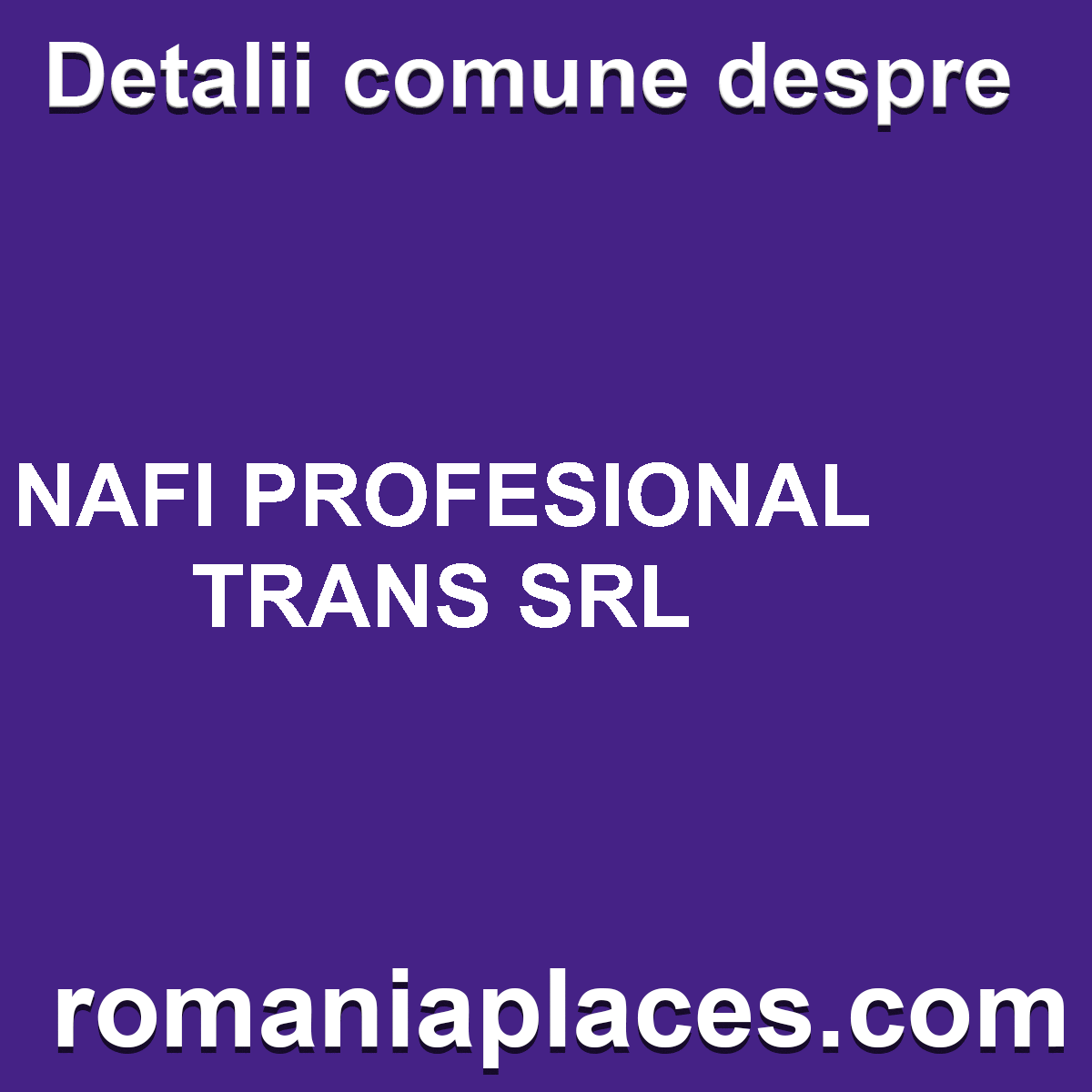 NAFI PROFESIONAL TRANS SRL
