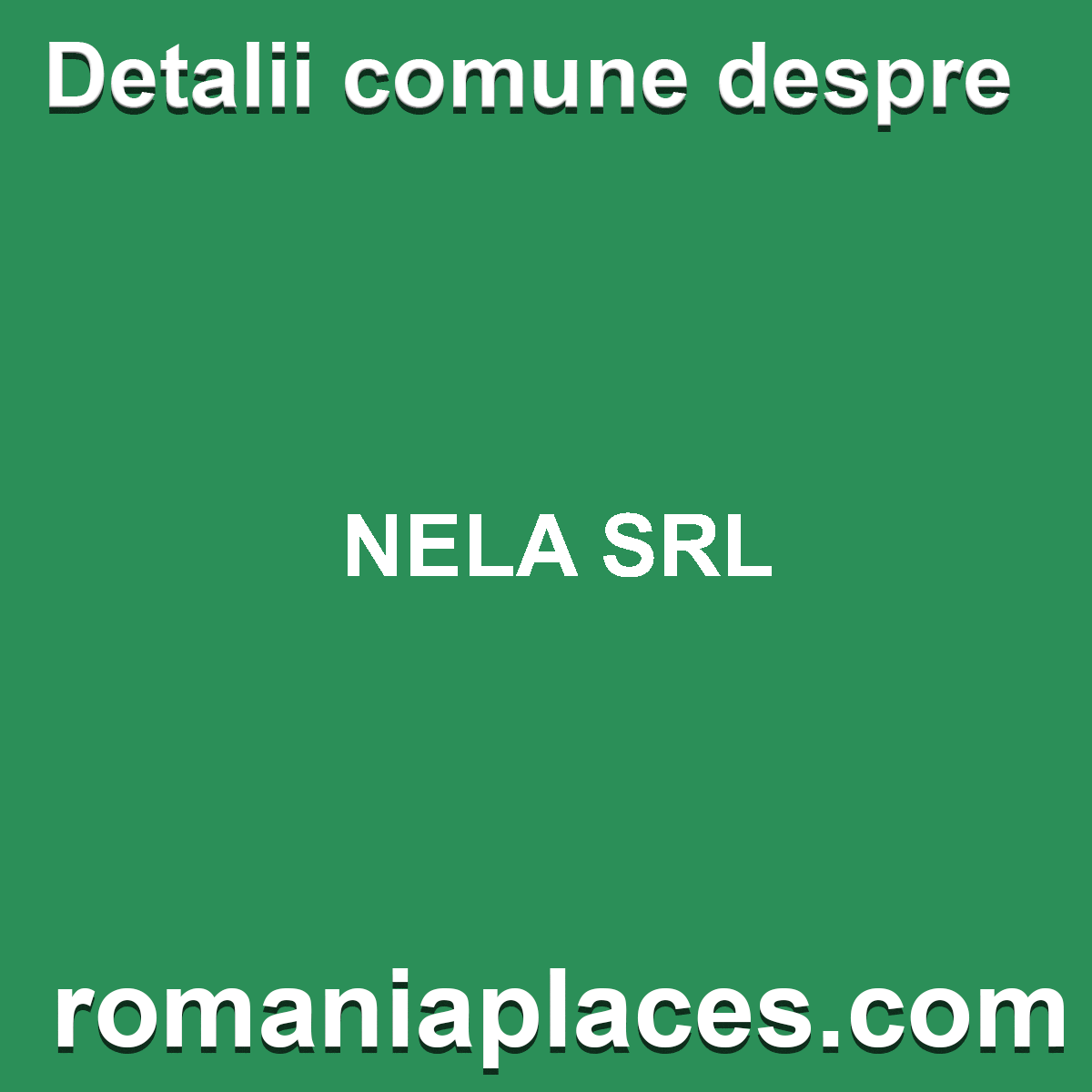 NELA SRL