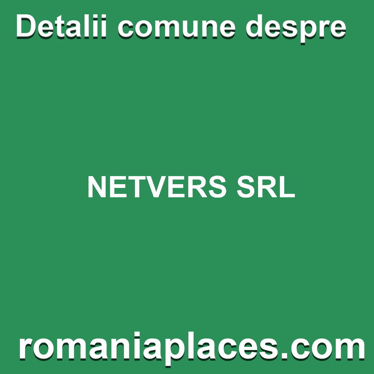 NETVERS SRL